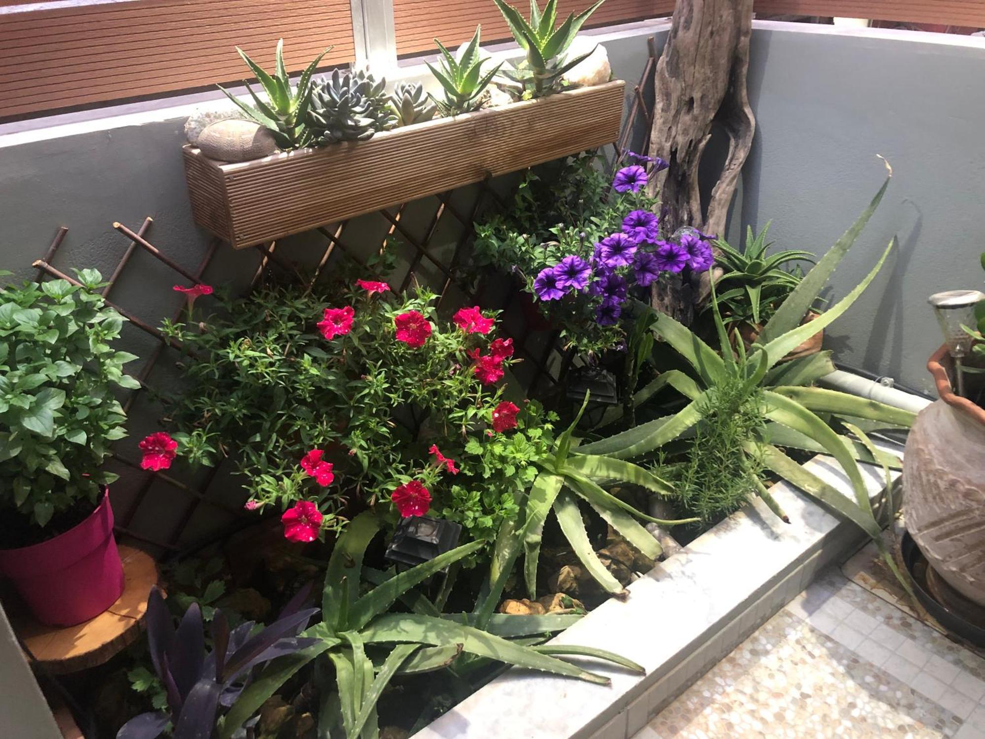 חאניה Summer Mood מראה חיצוני תמונה